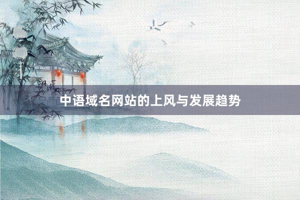 中语域名网站的上风与发展趋势