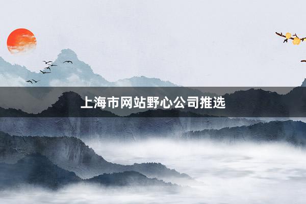 上海市网站野心公司推选