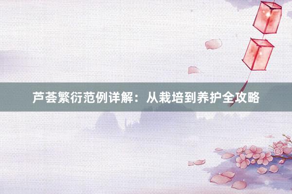 芦荟繁衍范例详解：从栽培到养护全攻略