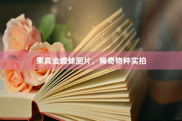 果真金蟾蜍图片，稀奇物种实拍
