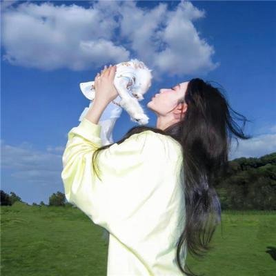 猪猪侠第四部：百变猪猪侠